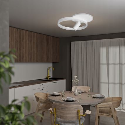 LED φωτιστικό οροφής 38W/230V + 1xGU10/30W λευκό