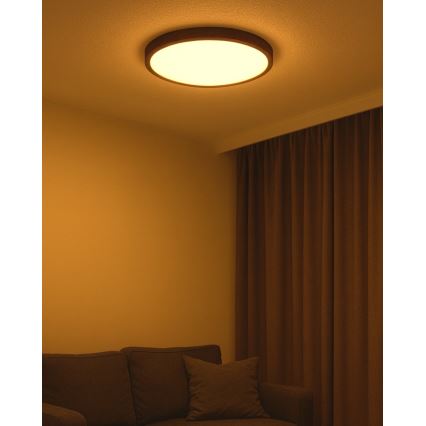 LED φωτιστικό οροφής LED/40W/230V 3000/4000/6500K διάμ. 50 cm καφέ