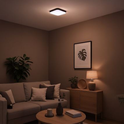 LED φωτιστικό οροφής NEMO LED/11W/230V 26x26 cm μαύρο