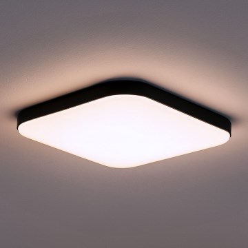 LED φωτιστικό οροφής NEMO LED/36W/230V 50x50 cm μαύρο