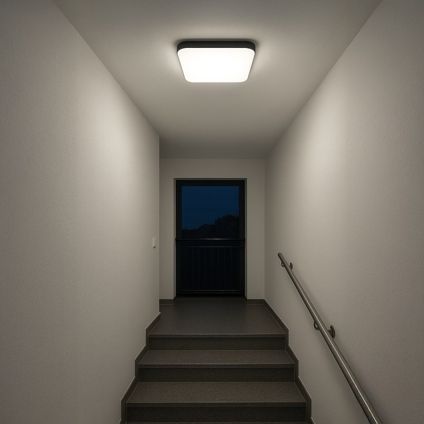 LED φωτιστικό οροφής NEMO LED/36W/230V 50x50 cm μαύρο