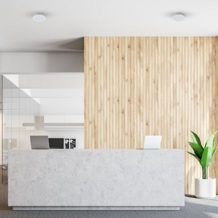 LED φωτιστικό οροφής για μπάνιο MARLON LED/12W/230V, διάμετρος 18 cm, IP54, λευκό