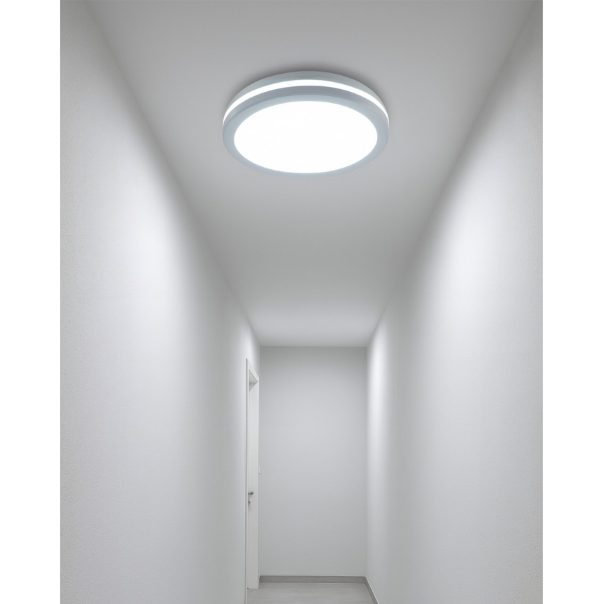 LED φωτιστικό οροφής μπάνιου με αισθητήρα κίνησης LED/20W/230V 3000/4000/6500K Ø 23 cm IP54 λευκό