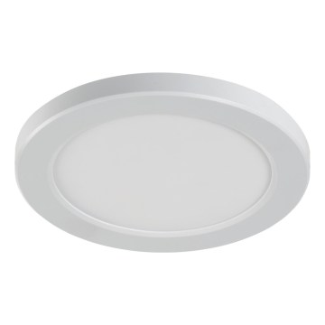 LED φωτιστικό οροφής/ψευδοροφής 2-σε-1 ERGA LED/17W/230V 3000/4000/6500K λευκό