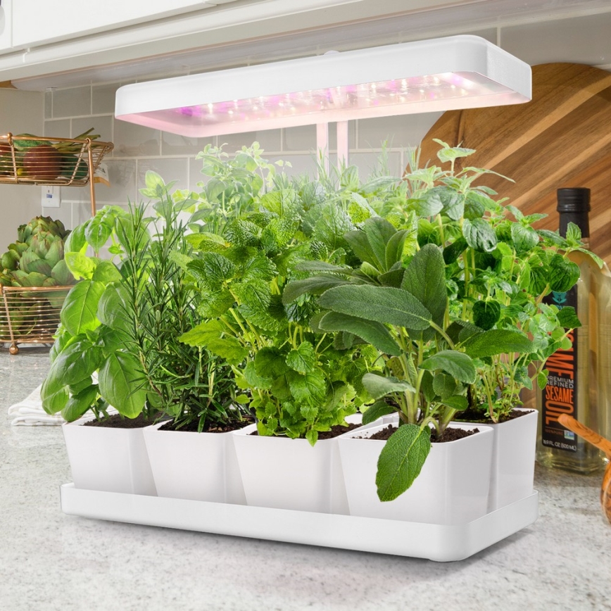 LED Interior lamp για growing plants LED/20W/5V 3500K