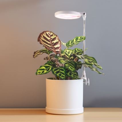 LED Interior lamp για growing plants LED/10W/5V 3200K