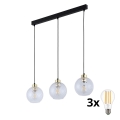 LED κρεμαστό φωτιστικό DEVON με καλώδιο 3xE27/15W/230V μαύρο/διάφανο