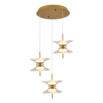 LED κρεμαστό φωτιστικό σε καλώδιο BUTTERFLY 6xLED/5W/230V 3000K χρυσό