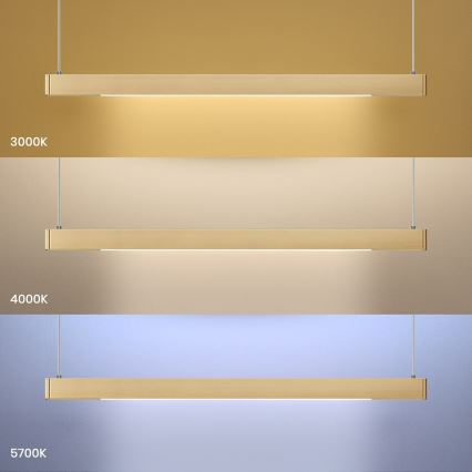 LED κρεμαστό φωτιστικό σε καλώδιο LINEA LED/36W/230V 3000/4000/5700K CRI 90 χρυσό