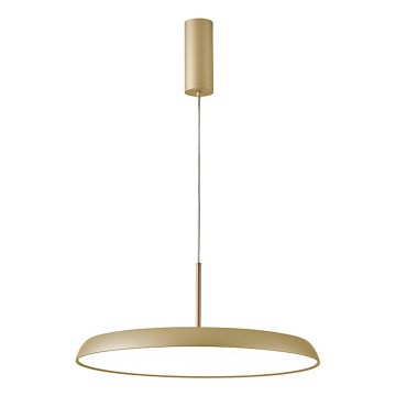 LED κρεμαστό φωτιστικό με καλώδιο ART LED/41W/230V χρυσό
