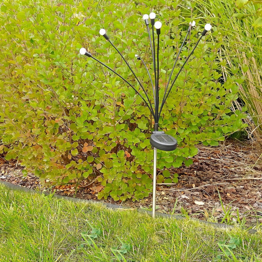 Ηλιακό φωτιστικό LED FIORINI 8xLED/1,2V 600 mAh IP44 μαύρο