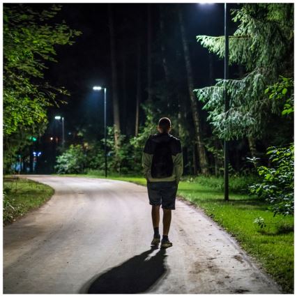 LED Ηλιακό φωτιστικό δρόμου με ρυθμιζόμενη ένταση φωτισμού και αισθητήρα κίνησης και λυκόφωτος URBI LED/8W/3,2V 6500K IP54 10000 mAh + τηλεχειριστήριο