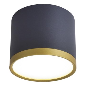 LED σποτ TUBA LED/9W/230V μαύρο/χρυσό