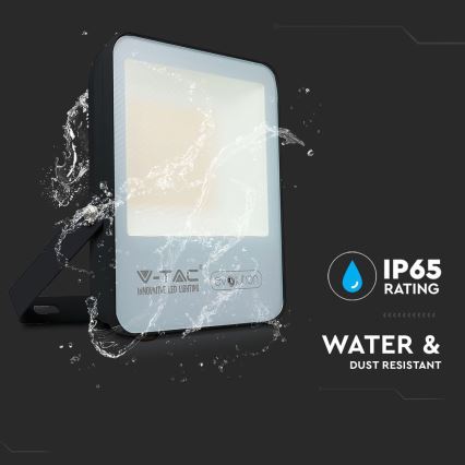 LED Προβολέας LED/30W/230V 6400K IP65 μαύρο