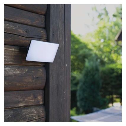 LED Προβολέας TAMBO LED/10W/230V 4000K IP65