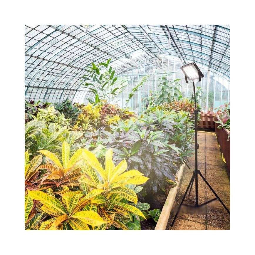 LED Προβολέας με βάση για καλλιέργεια φυτών FIRON LED/45W/230V IP54 μαύρο