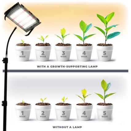 LED Προβολέας με βάση για καλλιέργεια φυτών FIRON LED/45W/230V IP54 μαύρο