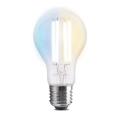 LED Ρυθμιζόμενη Λάμπα FILAMENT A60 E27/7W/230V 2700-6500K Wi-Fi Tuya