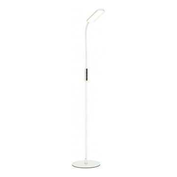LED Ρυθμιζόμενη επιδαπέδια λάμπα TEILO LED/10W/230V 3000/4000/6500K λευκή + τηλεχειριστήριο