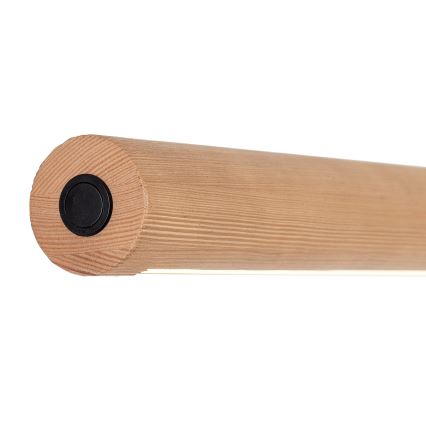 Ρυθμιζόμενο LED φωτιστικό οροφής με καλώδιο GIACINTO LED/30W/230V