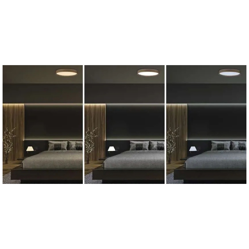 Ρυθμιζόμενο φωτιστικό οροφής LED ILVI LED/45W/230V 2700-6500K, διάμετρος 50 cm, φινίρισμα ξύλου + τηλεχειριστήριο
