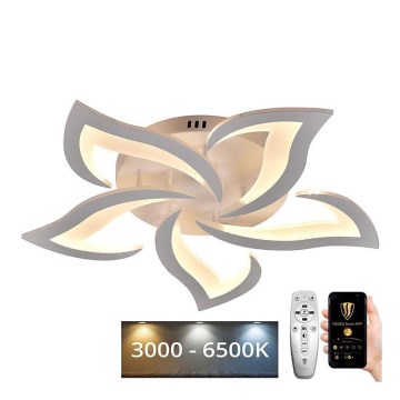 LED Ρυθμιζόμενο φωτιστικό οροφής LED/55W/230V 3000-6500K + τηλεχειριστήριο