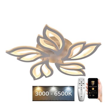 LED Ρυθμιζόμενο φωτιστικό οροφής LED/65W/230V 3000-6500K + τηλεχειριστήριο
