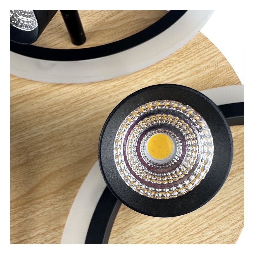 LED Ρυθμιζόμενο Φωτιστικό Οροφής LED/70W/230V 3000-6500K μαύρο/καφέ + τηλεχειριστήριο