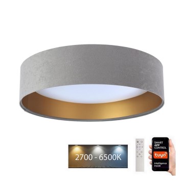 LED Ρυθμιζόμενο Φωτιστικό Οροφής SMART GALAXY LED/24W/230V διάμ. 45 εκ. 2700-6500K Wi-Fi Tuya γκρι/χρυσό + τηλεχειριστήριο