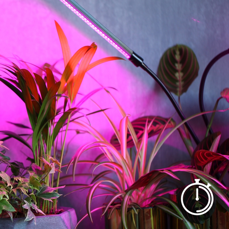 LED Ρυθμιζόμενος ευέλικτος επιτραπέζιος φωτισμός με κλιπ για καλλιέργεια φυτών VITARO 4xLED/10W/230V μαύρο