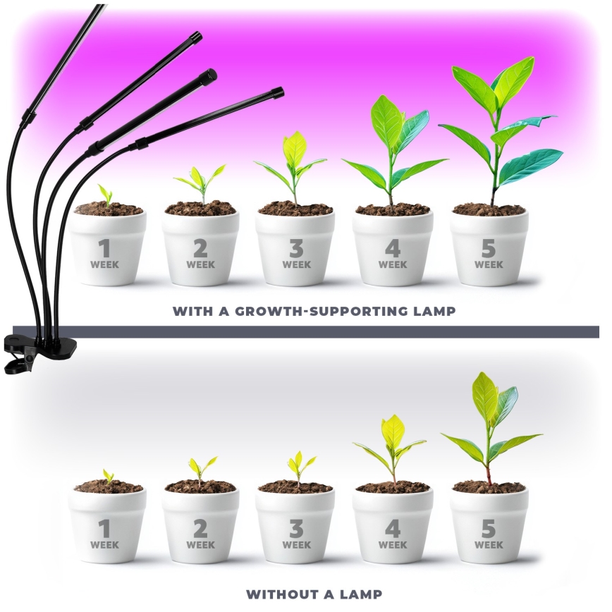 LED Ρυθμιζόμενος ευέλικτος επιτραπέζιος φωτισμός με κλιπ για καλλιέργεια φυτών VITARO 4xLED/10W/230V μαύρο