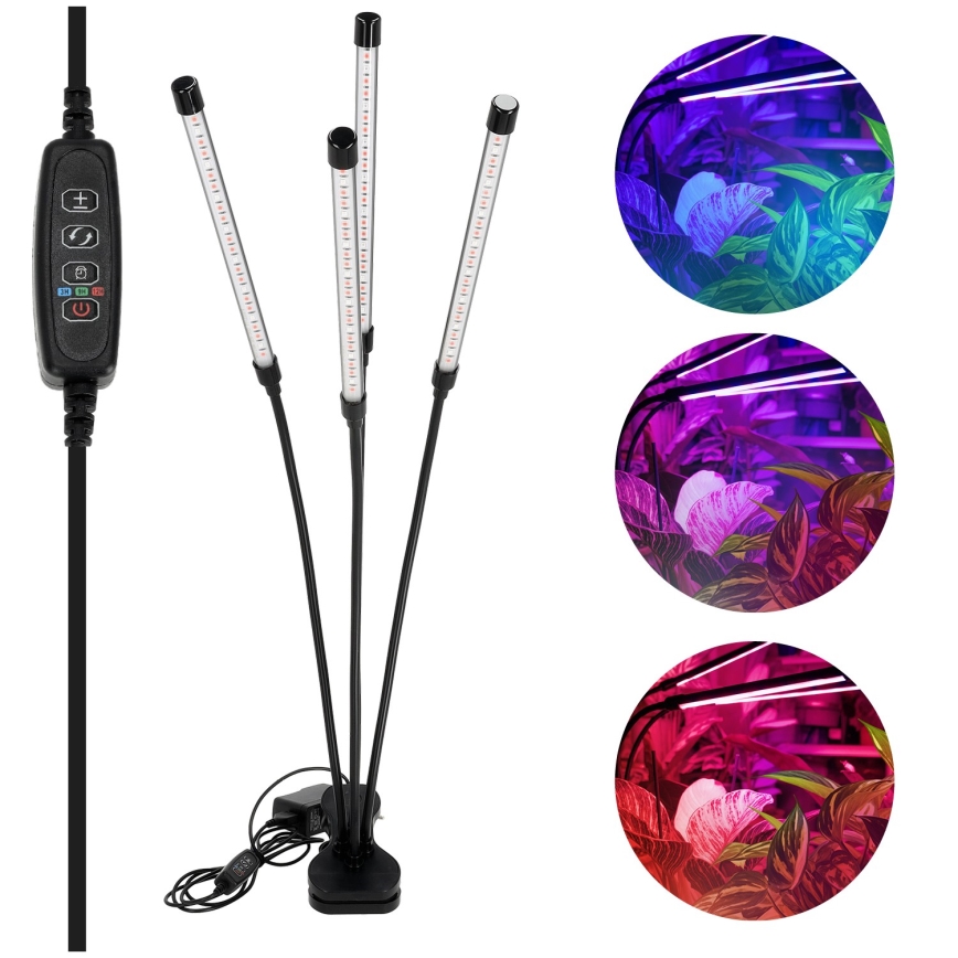 LED Ρυθμιζόμενος ευέλικτος επιτραπέζιος φωτισμός με κλιπ για καλλιέργεια φυτών VITARO 4xLED/10W/230V μαύρο