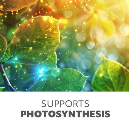 LED Ρυθμιζόμενος ευέλικτος επιτραπέζιος φωτισμός με κλιπ για καλλιέργεια φυτών VITARO 4xLED/10W/230V μαύρο