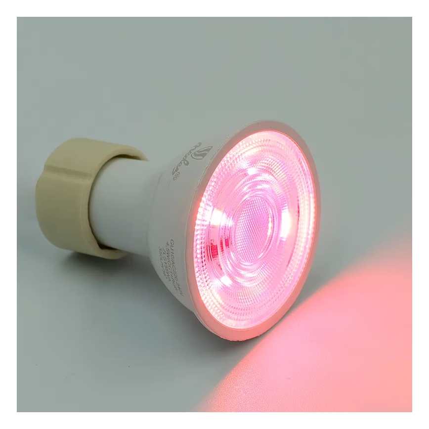LED RGBW Ρυθμιζόμενη λάμπα GU10/4,5W/230V 2700-6500K Wi-Fi Tuya