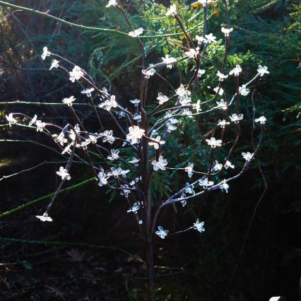 LED RGBW Ηλιακό φωτιστικό TREE LED/0,1W/1,2V 600 mAh IP44 καφέ