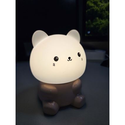 LED RGBW Παιδικό επιτραπέζιο φωτιστικό αφής LED/1W/5V USB 1200 mAh γάτα