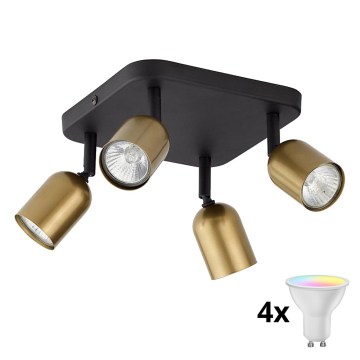 LED RGBW ρυθμιζόμενο φωτιστικό σποτ TOP 4xGU10/6,5W/230V 2700-6500K χρυσό/μαύρο