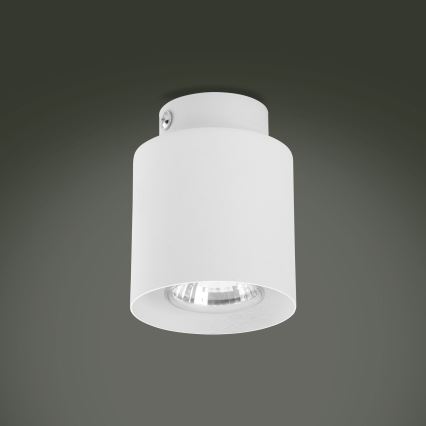 LED RGBW Ρυθμιζόμενο σποτ φωτιστικό VICO WHITE 1xGU10/6,5W/230V 2700-6500K