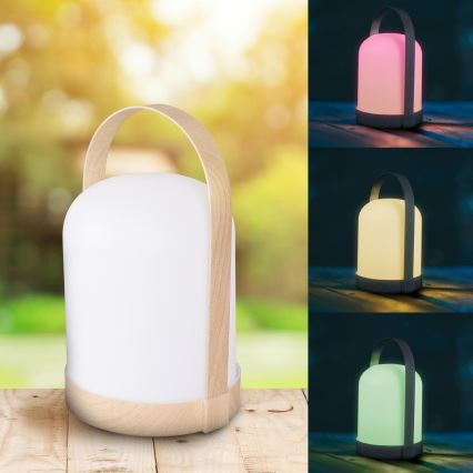 LED RGBW Διακοσμητικό επιτραπέζιο φωτιστικό MINORKA LED/0,3W/4,5V 3xAA