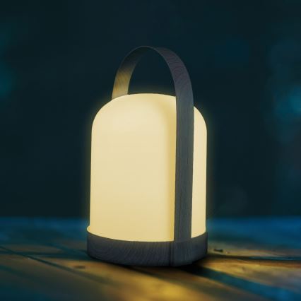 LED RGBW Διακοσμητικό επιτραπέζιο φωτιστικό MINORKA LED/0,3W/4,5V 3xAA