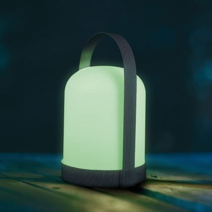 LED RGBW Διακοσμητικό επιτραπέζιο φωτιστικό MINORKA LED/0,3W/4,5V 3xAA