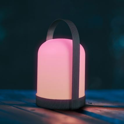 LED RGBW Διακοσμητικό επιτραπέζιο φωτιστικό MINORKA LED/0,3W/4,5V 3xAA