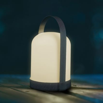 LED RGBW Διακοσμητικό επιτραπέζιο φωτιστικό MINORKA LED/0,3W/4,5V 3xAA