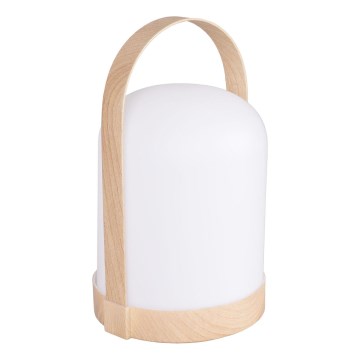 LED RGBW Διακοσμητικό επιτραπέζιο φωτιστικό MINORKA LED/0,3W/4,5V 3xAA