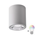 LED RGBW Ρυθμιζόμενο σημειακό φωτιστικό JUPITER 1xE27/6,5W/230V 2700-6500K Wi-Fi Ø 9,8 cm γκρι