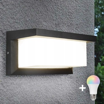 LED RGBW ρυθμιζόμενο επιτοίχιο φωτιστικό εξωτερικού χώρου NEELY 1xE27/9W/230V 2700-6500K IP54 Wi-Fi ανθρακί