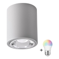 LED RGBW Ρυθμιζόμενο σημειακό φωτιστικό JUPITER 1xE27/6,5W/230V 2700-6500K Wi-Fi Ø 9,8 cm γκρι