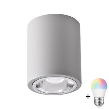 LED RGBW Ρυθμιζόμενο σημειακό φωτιστικό JUPITER 1xE27/6,5W/230V 2700-6500K Wi-Fi Ø 9,8 cm γκρι