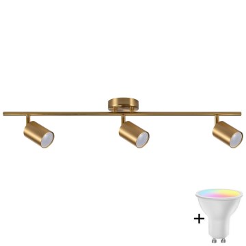 LED RGBW ρυθμιζόμενο φωτιστικό σποτ GOLDI 3xGU10/6,5W/230V 2700-6500K Wi-Fi χρυσό