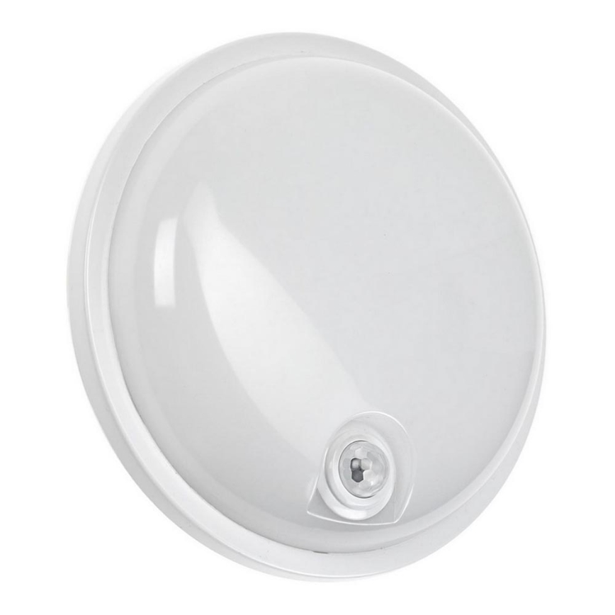 LED Τεχνικό φωτιστικό με αισθητήρα PIR LED/20W/230V IP54